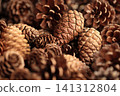 Various pine cones - Autumn/Winter theme 141312804