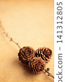 Pine cones - Autumn/Winter image 141312805