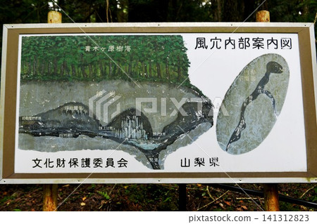 [Fujikawaguchiko Town, Fuji-Hakone-Izu National Park, Information board for "Fugaku Wind Cave," a nationally designated natural monument] 141312823