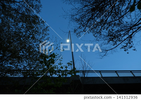 Streetlights and the night sky viewed from beneath an elevated national highway in the suburbs of Kanagawa Prefecture. Streetlights and the night sky viewed from beneath an elevated national highway in the suburbs of Kanagawa Prefecture. 141312936