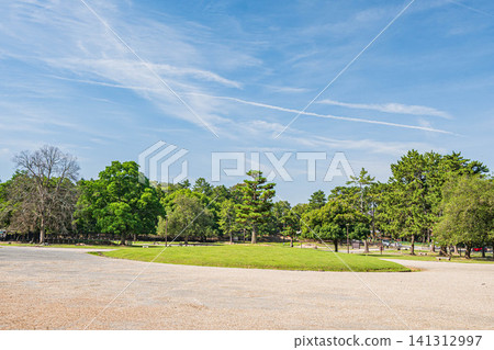 奈良公園在夏天 奈良公園在夏天 141312997