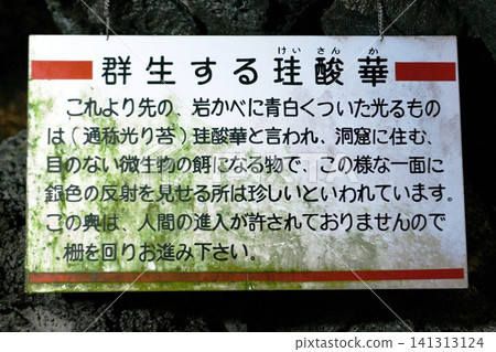 [Explanation board for silica spores (luminescent moss) inside the Fugaku Wind Cave, a nationally designated natural monument in Fujikawaguchiko Town, Fuji-Hakone-Izu National Park] 141313124