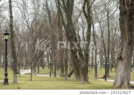 A serene city park featuring tall leafless trees and vintage iron lampposts along winding pathways during early spring, evoking a quiet urban landscape for leisure and reflection 141313627