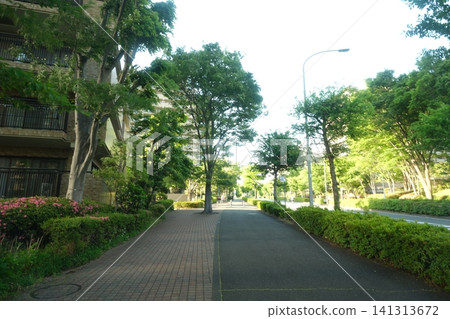 橫濱綠園都會站附近以公寓大樓為主的街景。 橫濱綠園都會站附近以公寓大樓為主的街景。 141313672