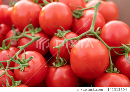 Fresh red vine tomatoes bunching together in a close up view, highlighting organic farming produce with vibrant color and natural texture for healthy culinary cooking and markets 141313804