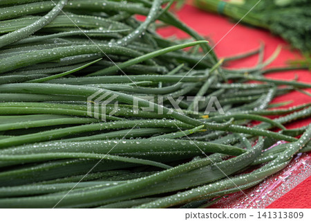 Fresh green spring onion stalks covered with sparkling water droplets on a vibrant red market display, emphasizing organic harvest quality for healthy cooking and culinary lifestyle Fresh green spring onion stalks covered with sparkling water droplets on a vibrant red market display, emphasizing organic harvest quality for healthy cooking and culinary lifestyle 141313809