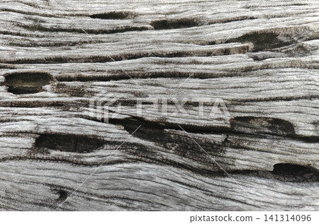 Weathered Gray Wood Texture with Natural Cracks and Grain. 141314096