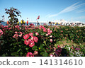 Flowers in Yamashita Park - Spring 141314610