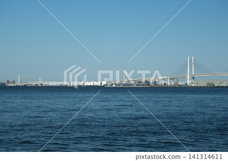 Yokohama Bay Bridge visible in the distance - Spring Yokohama Bay Bridge visible in the distance - Spring 141314611