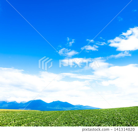 The Tokachi Mountain Range and magnificent scenery as seen from a hilltop in Kamifurano, Hokkaido in summer. 141314820