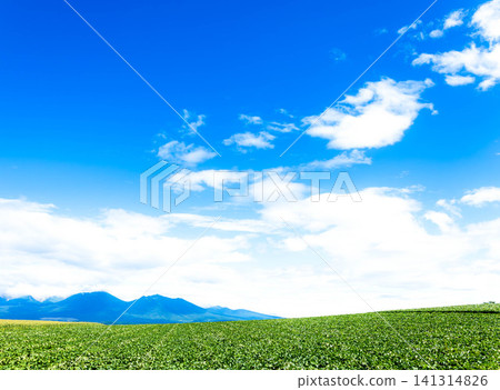 The Tokachi Mountain Range and magnificent scenery as seen from a hilltop in Kamifurano, Hokkaido in summer. The Tokachi Mountain Range and magnificent scenery as seen from a hilltop in Kamifurano, Hokkaido in summer. 141314826