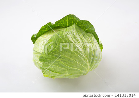 Cabbage from Gunma Prefecture Cabbage from Gunma Prefecture 141315014
