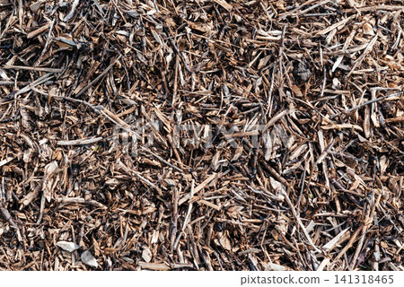 Chips of trees and bushes. Small pile of wood chips background, top view. Waste from the woodworking industry, fuel and raw materials for heating solid fuel industrial boilers on wood chips. Chips of trees and bushes. Small pile of wood chips background, top view. Waste from the woodworking industry, fuel and raw materials for heating solid fuel industrial boilers on wood chips. 141318465