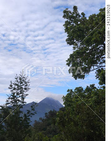 Misty mountain peaks rise above lush green forests 141319028