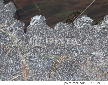 Frosted Ice Sheet Edge Over Pond with Grass and Leaves Visible Below, Winter Nature Water Macro Detail Frosted Ice Sheet Edge Over Pond with Grass and Leaves Visible Below, Winter Nature Water Macro Detail 141319192