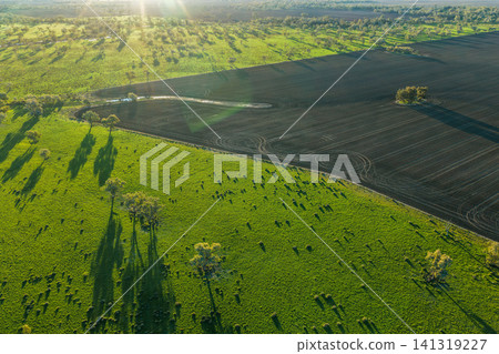 Aerial view of cultivated farmland surrounded by lush green landscape as warm sunset light spreads across the peaceful countryside in NSW, Australia. 141319227