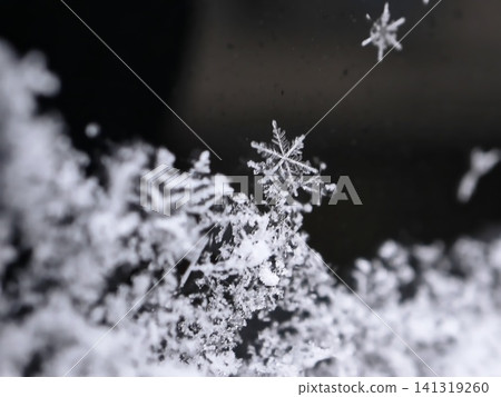 Single Perfect Snowflake Crystal Macro Against Dark Background with Bokeh, Frosted Winter Nature Detail 141319260