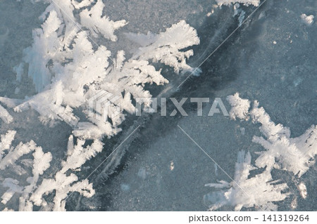Ice Crystals Growing Along Crack in Frozen Blue Surface, Winter Natural Formation Abstract Macro Detail Ice Crystals Growing Along Crack in Frozen Blue Surface, Winter Natural Formation Abstract Macro Detail 141319264