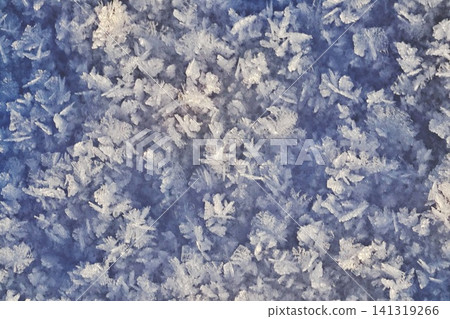 Dense Blue White Frost Crystals Full Frame, Frosted Winter Natural Texture Abstract Background Macro Dense Blue White Frost Crystals Full Frame, Frosted Winter Natural Texture Abstract Background Macro 141319266