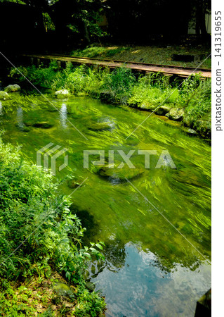 Shirasawa Park River in Utsunomiya City Shirasawa Park River in Utsunomiya City 141319655