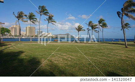 A Hawaiian park seen through palm trees A Hawaiian park seen through palm trees 141320047