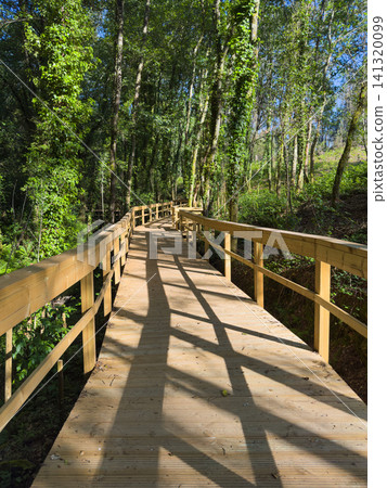 Wooden boardwalk path through lush green forest at Passadicos do Rio Uima, Pigeiros, Santa Maria da Feira, Portugal Wooden boardwalk path through lush green forest at Passadicos do Rio Uima, Pigeiros, Santa Maria da Feira, Portugal 141320099
