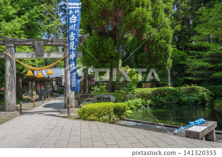 熊本縣白川吉見神社白川泉 熊本縣白川吉見神社白川泉 141320355