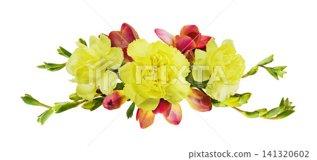 Yellow carnations and red freesia flowers isolated on white background Yellow carnations and red freesia flowers isolated on white background 141320602