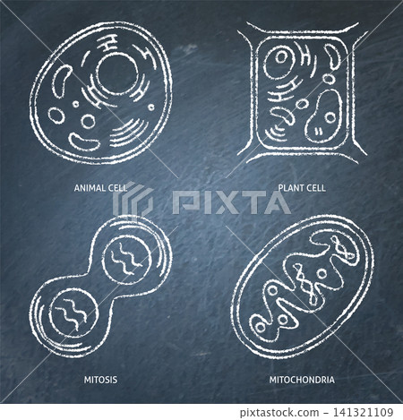 Molecular and cellular biology chalkboard icon set Molecular and cellular biology chalkboard icon set 141321109