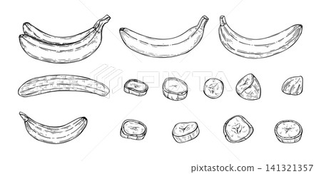 Hand drawn banana fruits set line art black ink sketch. Whole peel, peeled fruit and round slices linear drawing. Monochrome ink illustration for healthy food design, tropical ingredient, recipe menu 141321357