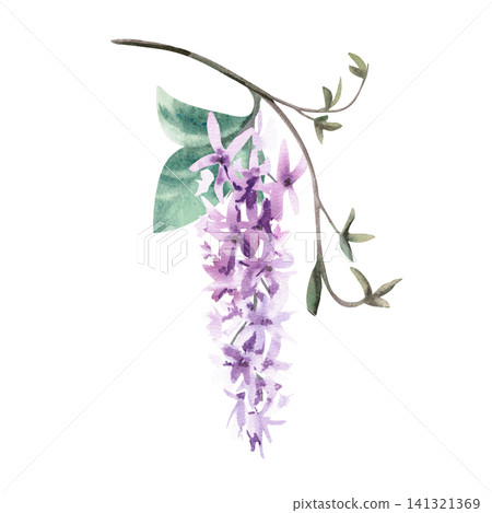 Delicate lilac flowers on a vine branch. Isolated watercolor illustration for fabric design, packaging, greeting cards, home decor prints, and wedding invitation designs. 141321369