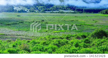 Yashimagahara Marshland after the fog has cleared Yashimagahara Marshland after the fog has cleared 141321428