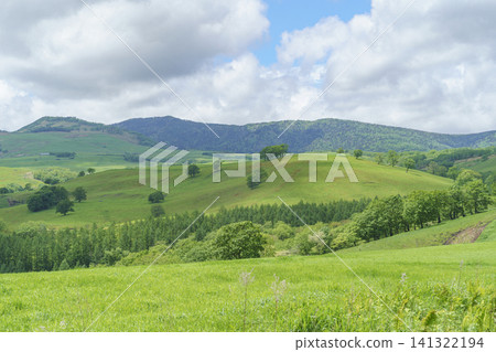 Naitai Plateau Ranch, Kamishihoro Town, Hokkaido: A spectacular ranch landscape in Tokachi, surrounded by lush greenery. Naitai Plateau Ranch, Kamishihoro Town, Hokkaido: A spectacular ranch landscape in Tokachi, surrounded by lush greenery. 141322194