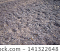 Close-up view of a rough ground surface covered with a mixture of grey crushed stone, coarse gravel, and sand. Scattered dry leaves and small twigs add texture to the barren, uneven terrain 141322648