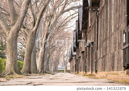 三協倉庫(山形縣酒田市)一排櫸樹 三協倉庫(山形縣酒田市)一排櫸樹 141322879