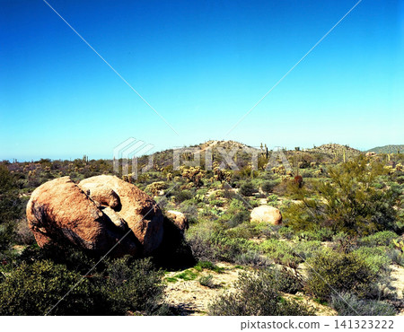 Sonora Desert Arizona Granite Boulders Sonora Desert Arizona Granite Boulders 141323222