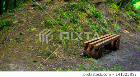 lonely wooden bench in outdoor space grass wild lawn in highland lonely wooden bench in outdoor space grass wild lawn in highland 141323852