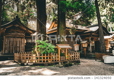 Takachiho Shrine, a sacred shrine in Takachiho, Miyazaki, Japan Takachiho Shrine, a sacred shrine in Takachiho, Miyazaki, Japan 141324050