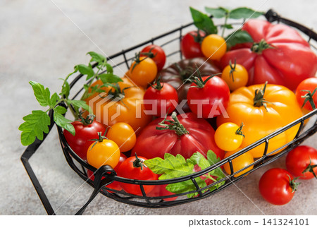 Fresh organic heirloom tomatoes in harvest basket from garden Fresh organic heirloom tomatoes in harvest basket from garden 141324101