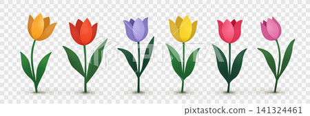 Set of stylized colored tulips with a shadow on a transparent background. Set of stylized colored tulips with a shadow on a transparent background. 141324461