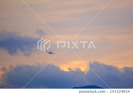 Airplane landing 141324654