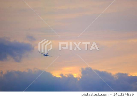 Airplane landing 141324659