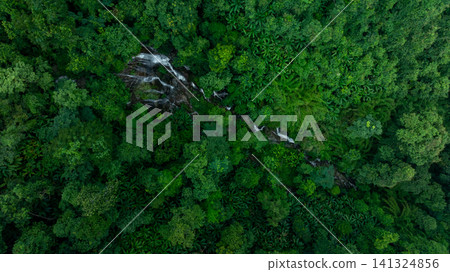 Aerial view of deep tropical rainforest with waterfall surrounded by lush tropical forest and towering cliffs streams of water into deep canyon, Lush green trees in forest with natural stream. Aerial view of deep tropical rainforest with waterfall surrounded by lush tropical forest and towering cliffs streams of water into deep canyon, Lush green trees in forest with natural stream. 141324856
