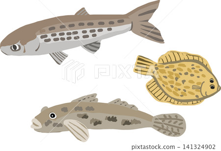 一組描繪河口魚類的插圖。 一組描繪河口魚類的插圖。 141324902