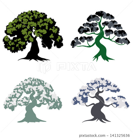 Educational botany diagram demonstrating diverse tree silhouettes and morphology. Visualizing perennial plant canopy variations and trunk structures for forestry science lesson Educational botany diagram demonstrating diverse tree silhouettes and morphology. Visualizing perennial plant canopy variations and trunk structures for forestry science lesson 141325636