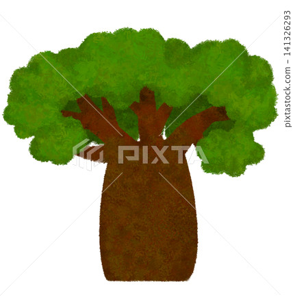 green baobab tree green baobab tree 141326293