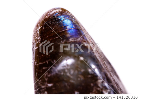 Macro mineral stone Labradorite on white background Macro mineral stone Labradorite on white background 141326316