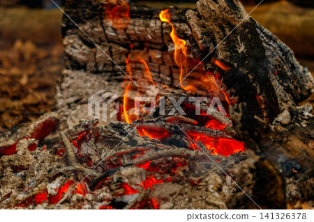 texture flame from burning logs at night texture flame from burning logs at night 141326378