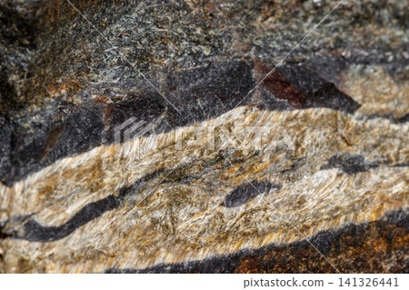 Macro mineral stone Snake eye in the rock a white background 141326441