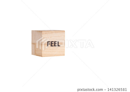 wooden cubes with the inscription Feel on a white isolated background wooden cubes with the inscription Feel on a white isolated background 141326581